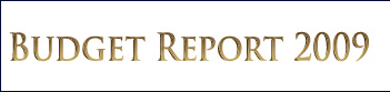 Budget Report 2008