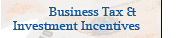 Business Tax and Investment Incentives